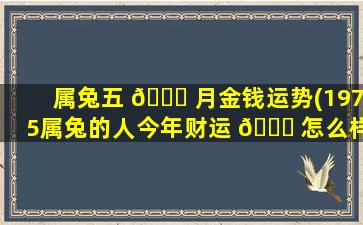 属兔五 🐛 月金钱运势(1975属兔的人今年财运 🐅 怎么样)